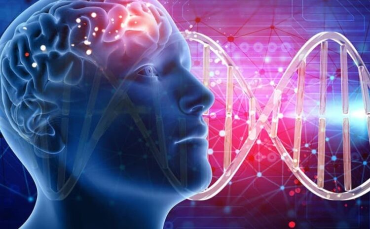  How Psychology Helps Develop Emotional Intelligence: Practical Exercises