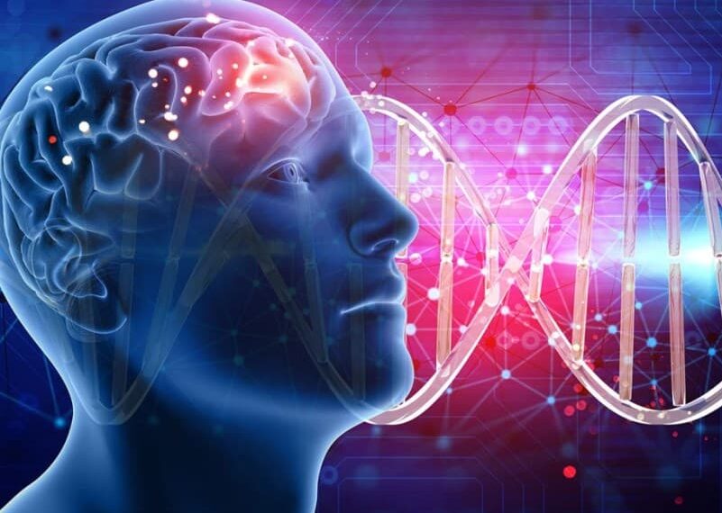 How Psychology Helps Develop Emotional Intelligence: Practical Exercises