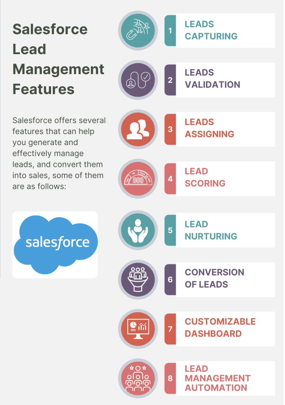 Salesforce Lead Management Features